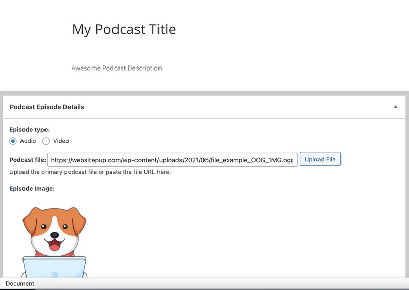 Seriously simple podcasting settings