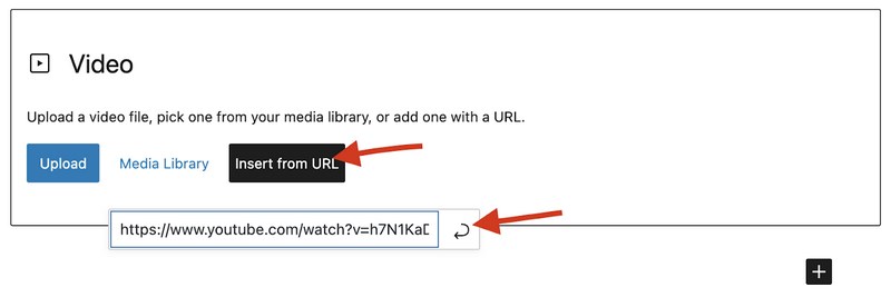 WordPress insert video from URL
