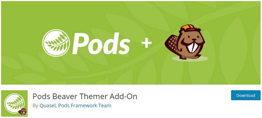 Pods beaver themer add on plugin