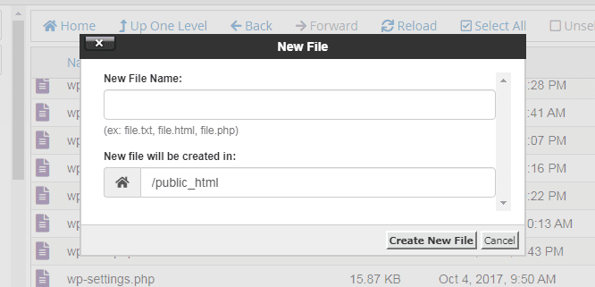 create new file in cPanel file manager