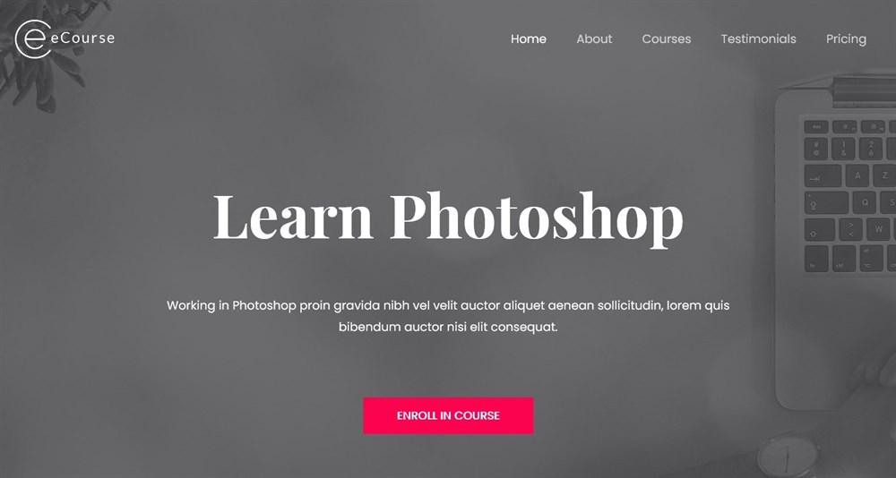 eCourse Learn Photoshop demo site