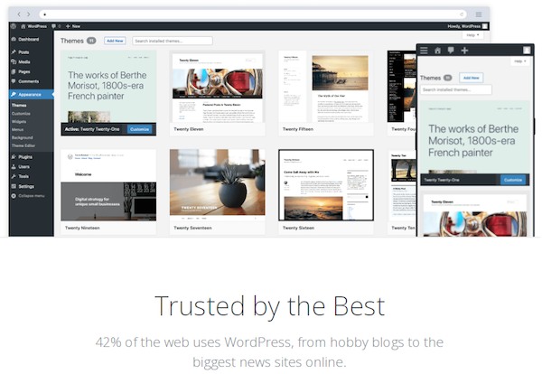 WordPress powers 42% of the websites worldwide