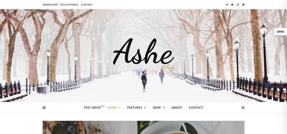Ashe WordPress theme