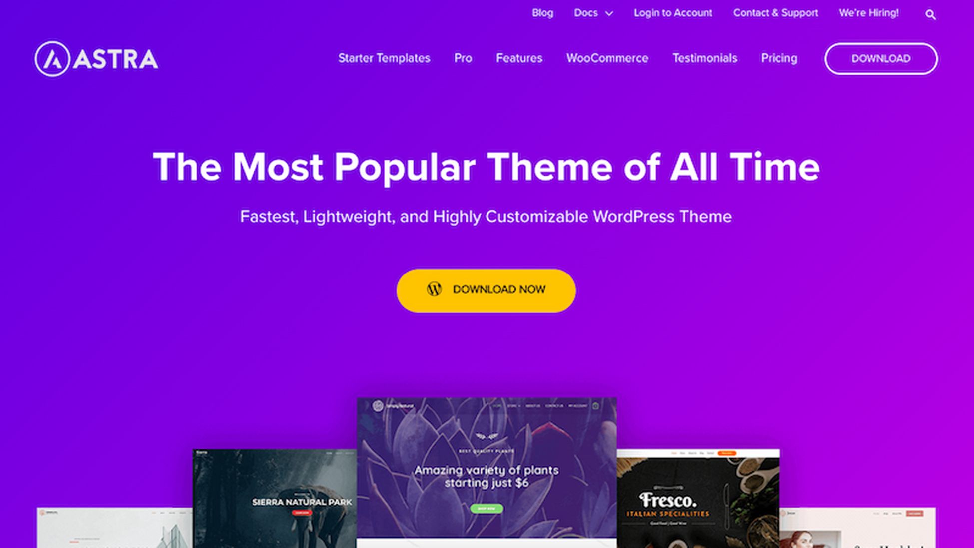 Astra most popular WordPress theme