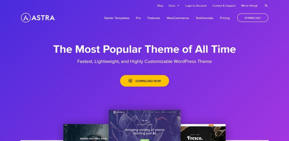 Astra best movie review WordPress theme