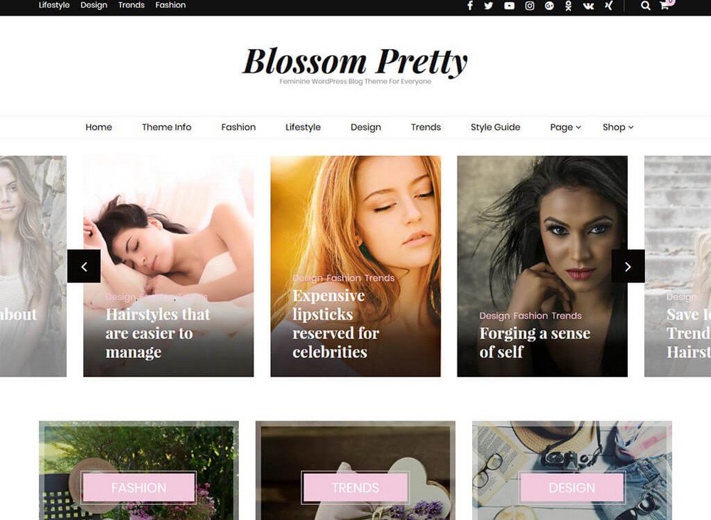 Blossom pretty WordPress theme