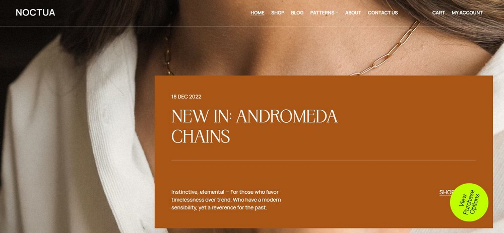 noctua premium wordpress theme for jewelry designers