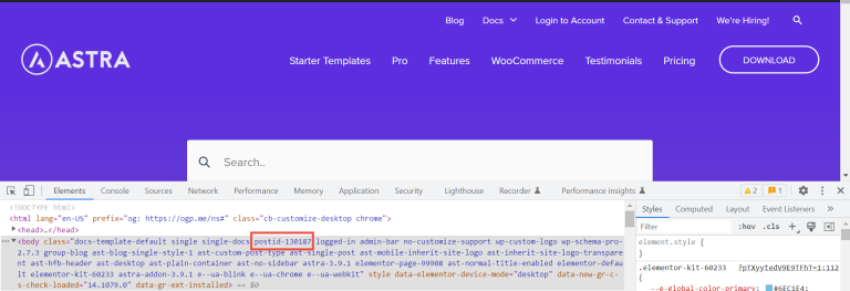 How To add Custom CSS for Specific Pages
