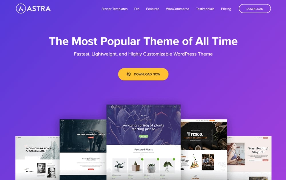 Astra WordPress theme official website
