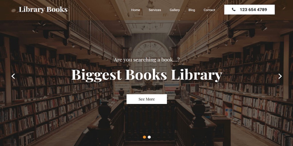 Library books WordPress theme demo page