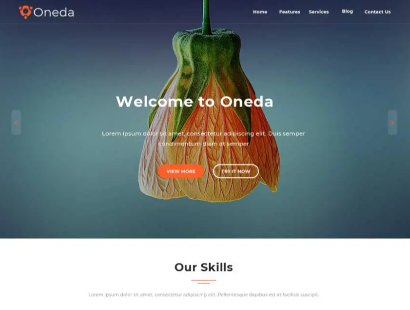 Oneda one page theme 