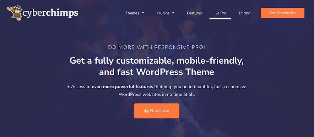 responsive pro wordpress theme