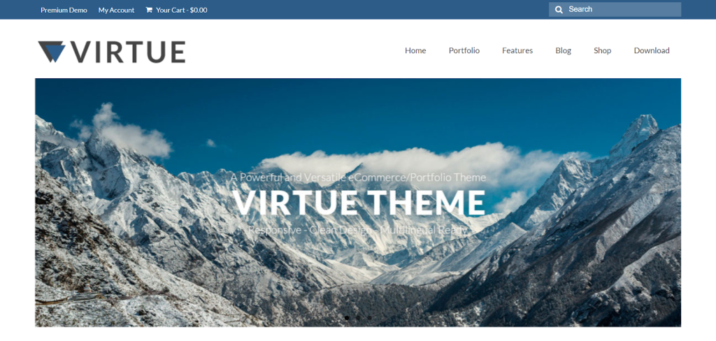Virtue website demo template