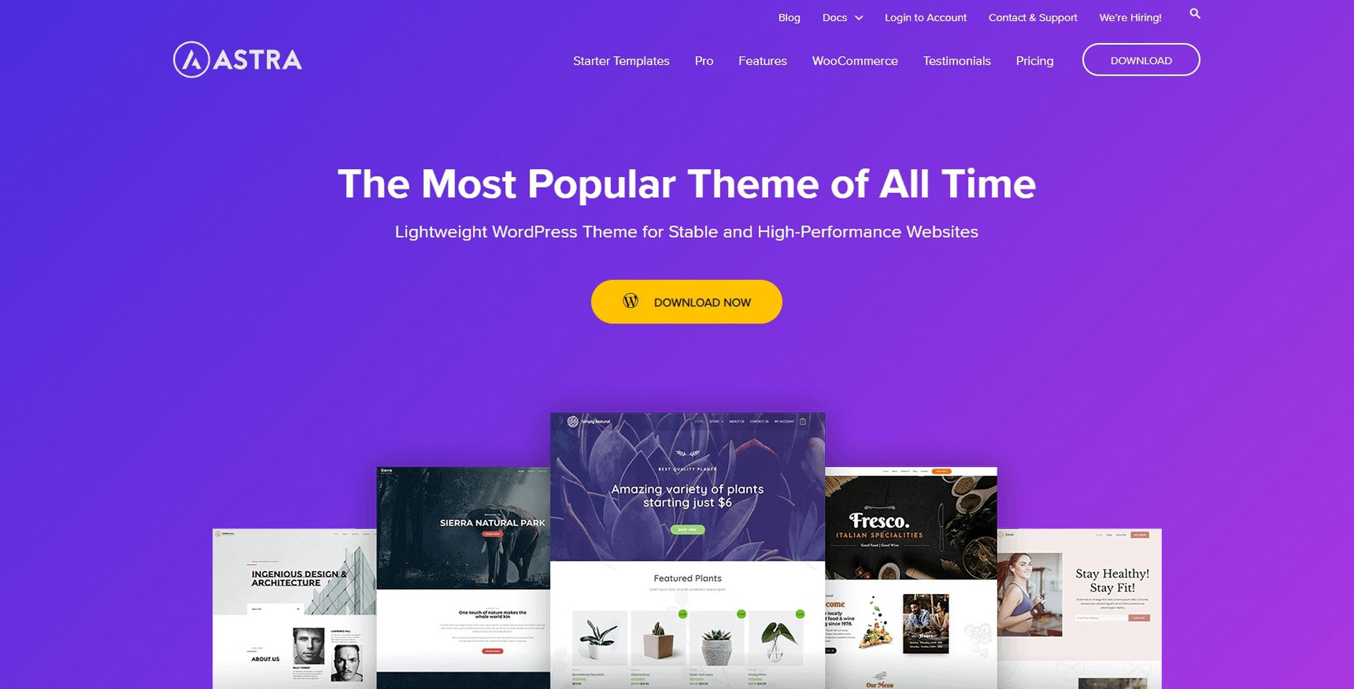 Astra theme for business