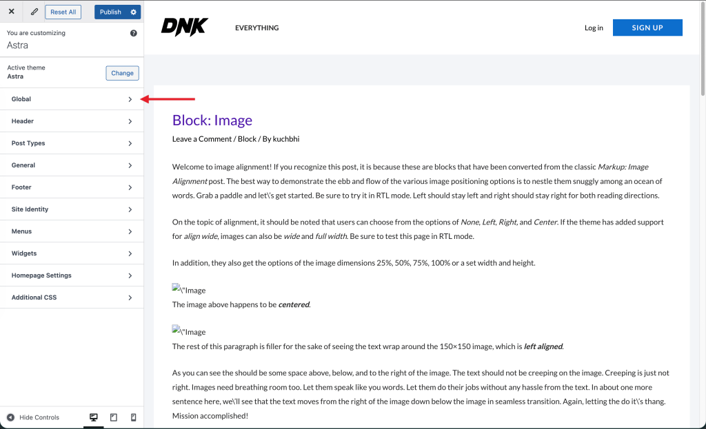 Astra customizer global