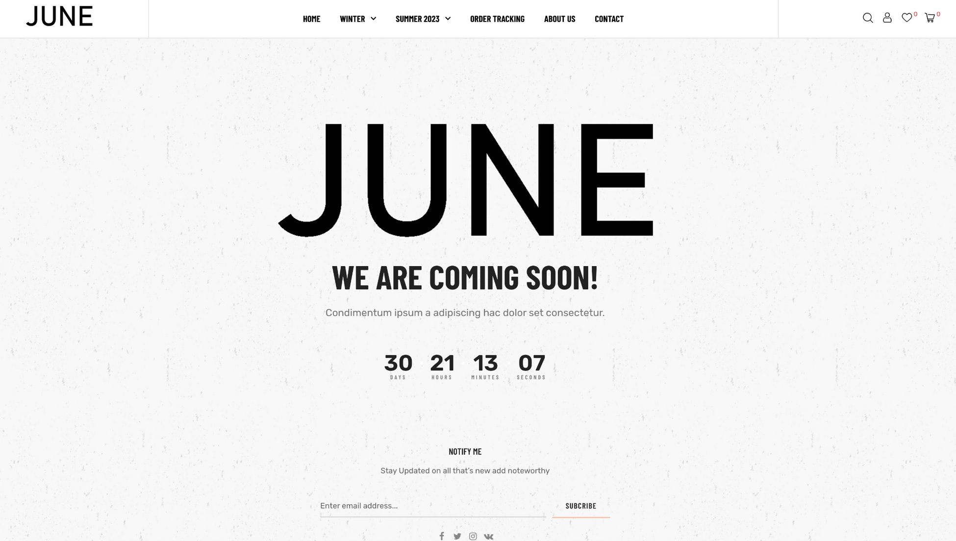 the june store coming soon page