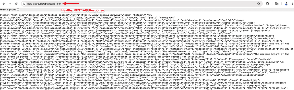 Troubleshooting: "The Response Is Not a Valid JSON Response" Healthy REST API Response